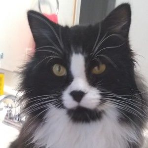 Meet your Posher, Stacey